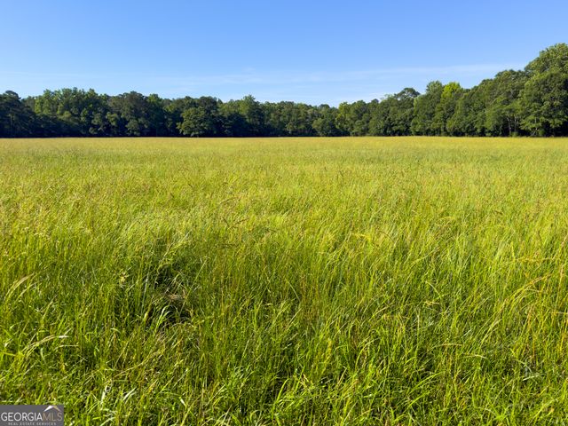 259 Garner Road, Buchanan, GA 30113