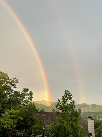 971 White Oak Drive, Warne, NC 28909