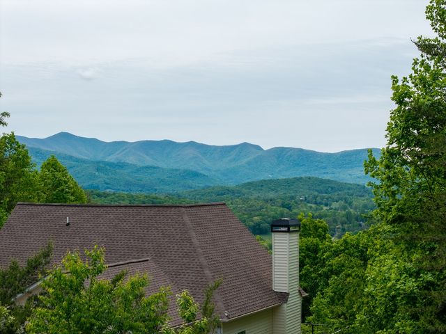 971 White Oak Drive, Warne, NC 28909