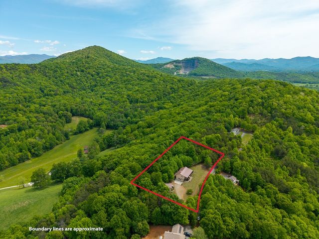 971 White Oak Drive, Warne, NC 28909