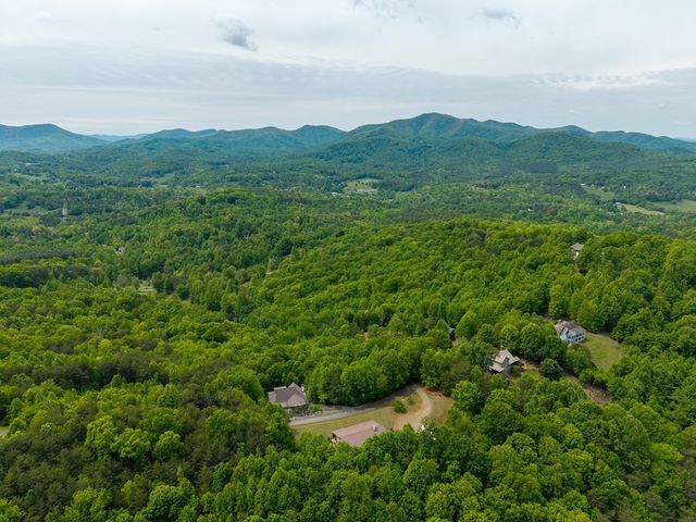 971 White Oak Drive, Warne, NC 28909