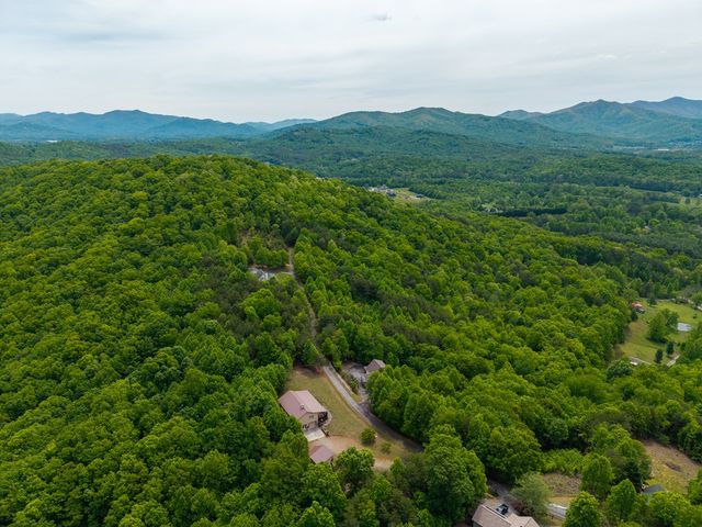 971 White Oak Drive, Warne, NC 28909