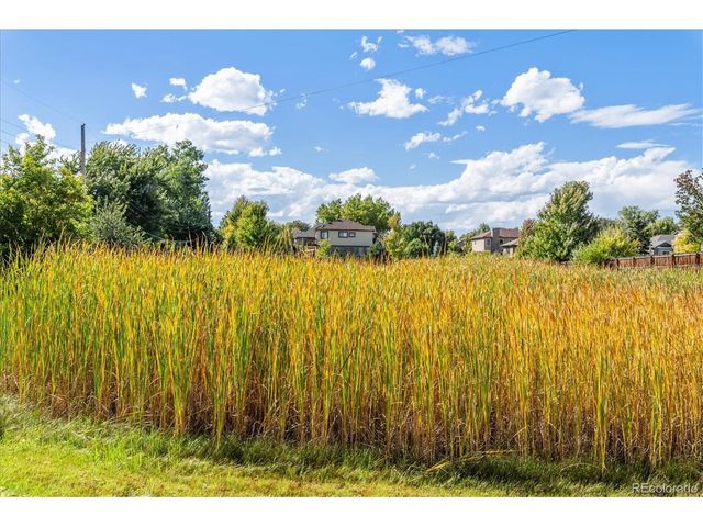 1279 S Allison St, Lakewood, CO 80232