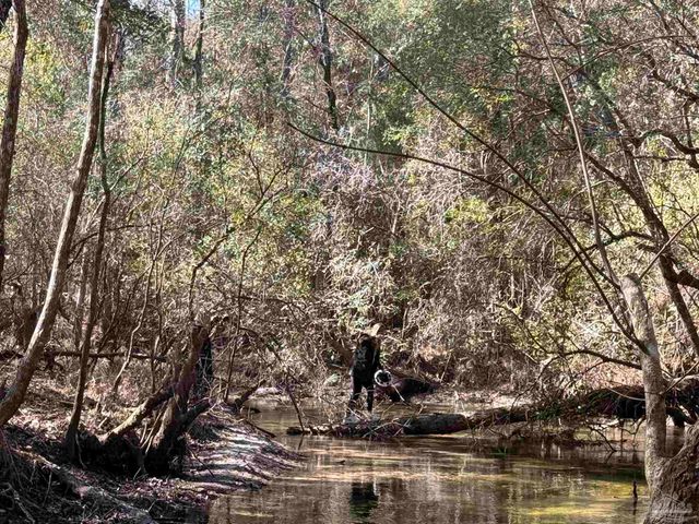 Lot 9 Brook Crossing St, Pace, FL 32571