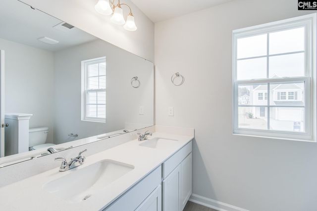 3973 Golden Crane Pass, Lexington, SC 29073