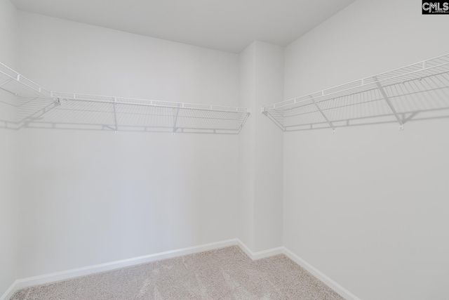 3973 Golden Crane Pass, Lexington, SC 29073