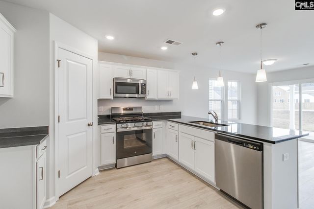 3973 Golden Crane Pass, Lexington, SC 29073