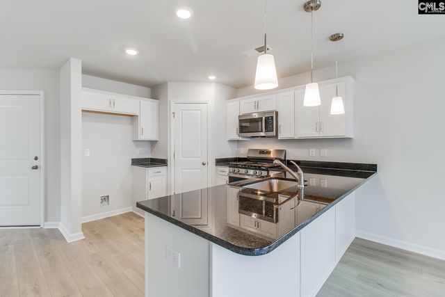 3973 Golden Crane Pass, Lexington, SC 29073