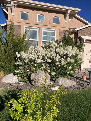 15834 Kansas Pacific Court, Monument, CO 80132