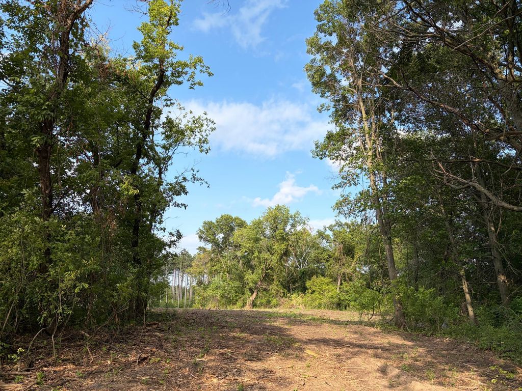 (Lot 7) TBD Tulip Street NW, Stanchfield, MN 55080 — exterior