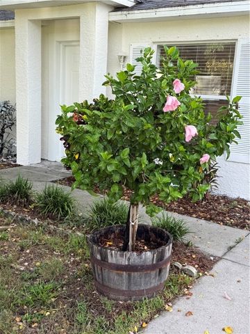 2156 16th Avenue SW, Vero Beach, FL 32962