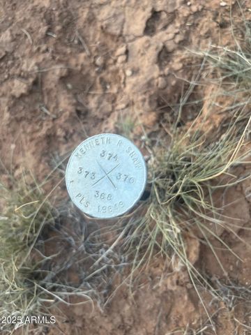 6009 RIVER RUN Drive 373, Winslow, AZ 86047