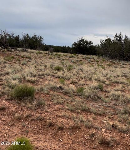 6009 RIVER RUN Drive 373, Winslow, AZ 86047