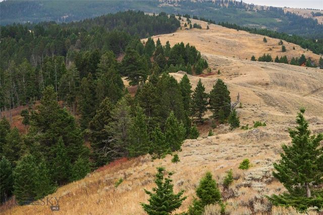 20 ac Alpine Springs Trail, Livingston, MT 59047