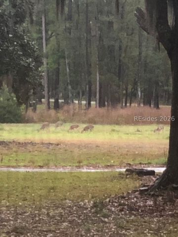 8 Volunteers Rdg, Daufuskie Island, SC 29915