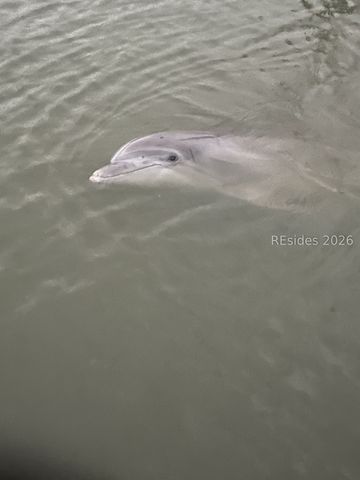 8 Volunteers Rdg, Daufuskie Island, SC 29915