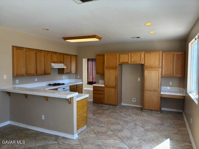 1159 Ironwood Avenue, Palmdale, CA 93551