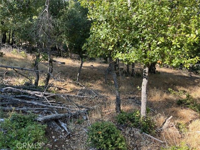 3599 Pine Terrace Drive, Kelseyville, CA 95451