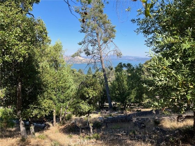 3599 Pine Terrace Drive, Kelseyville, CA 95451