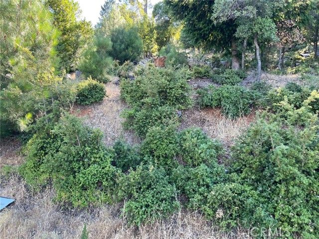 3599 Pine Terrace Drive, Kelseyville, CA 95451