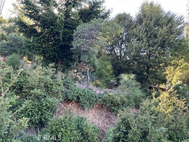 3599 Pine Terrace Drive, Kelseyville, CA 95451