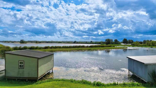 11 Plantation Drive, Damon, TX 77430