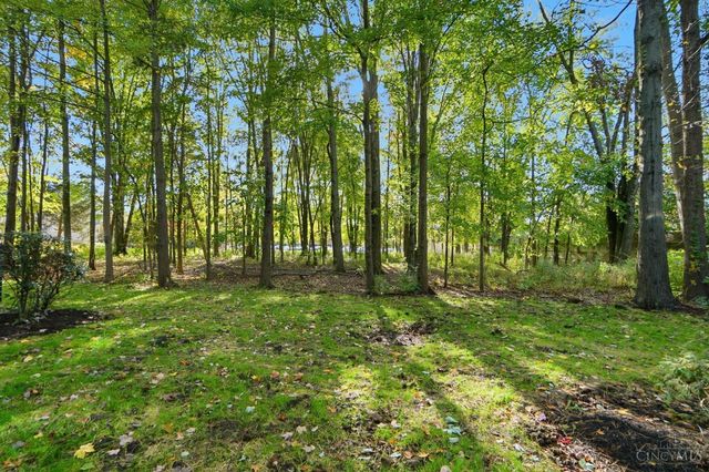 220 Carrington Place, Loveland, OH 45140