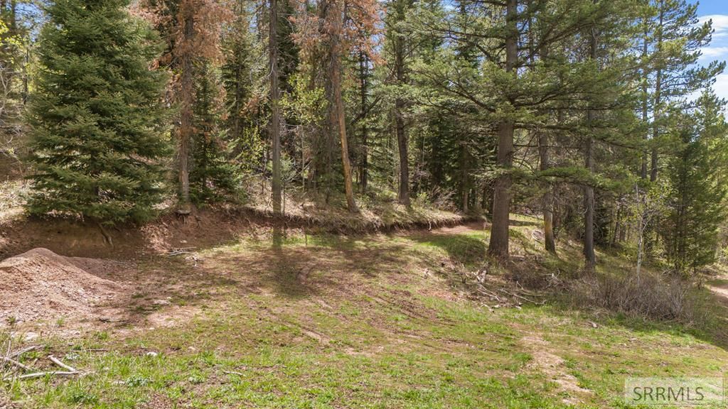 Image 1 of property listing at TBD Sellers Creek Road, Firth, ID 83236