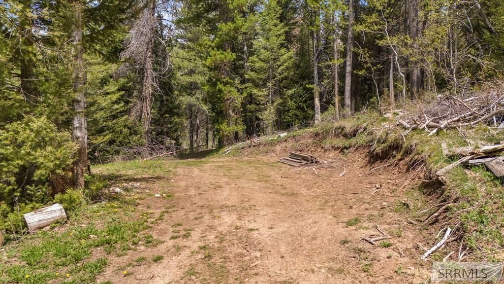 Image 10 of property listing at TBD Sellers Creek Road, Firth, ID 83236
