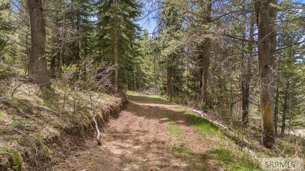 Image 11 of property listing at TBD Sellers Creek Road, Firth, ID 83236