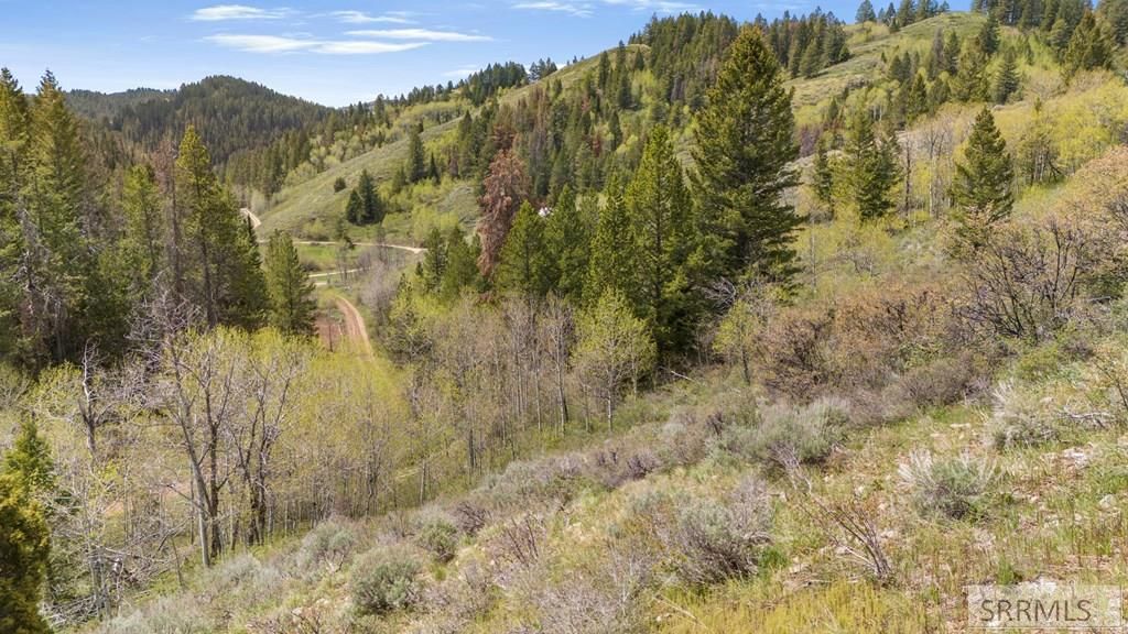 Image 13 of property listing at TBD Sellers Creek Road, Firth, ID 83236