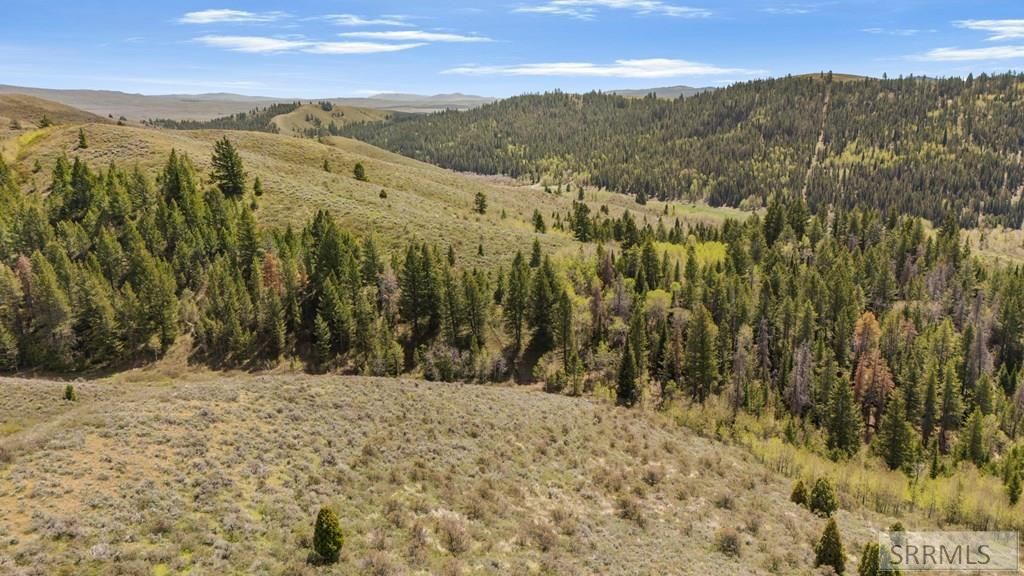 Image 14 of property listing at TBD Sellers Creek Road, Firth, ID 83236