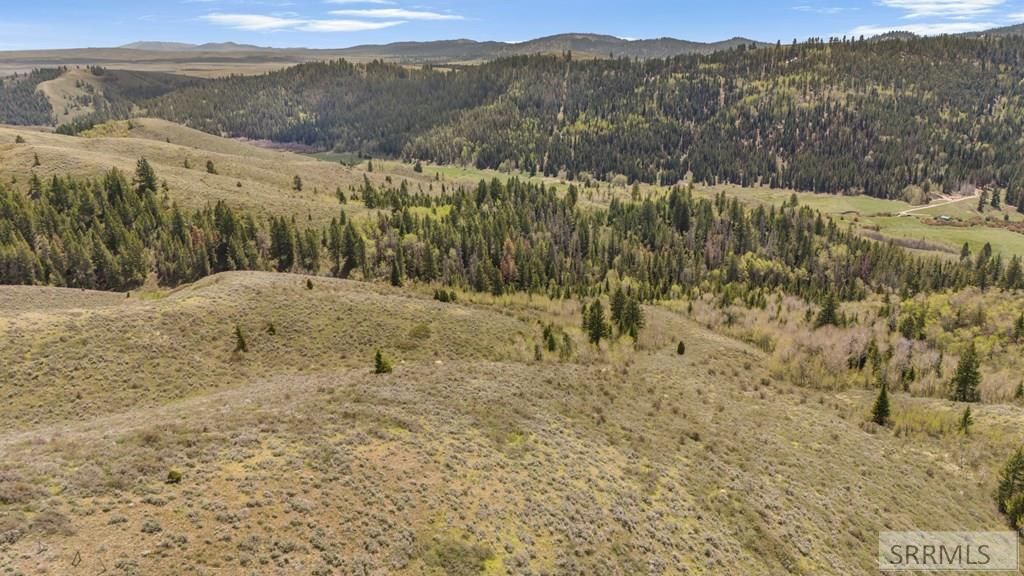 Image 16 of property listing at TBD Sellers Creek Road, Firth, ID 83236