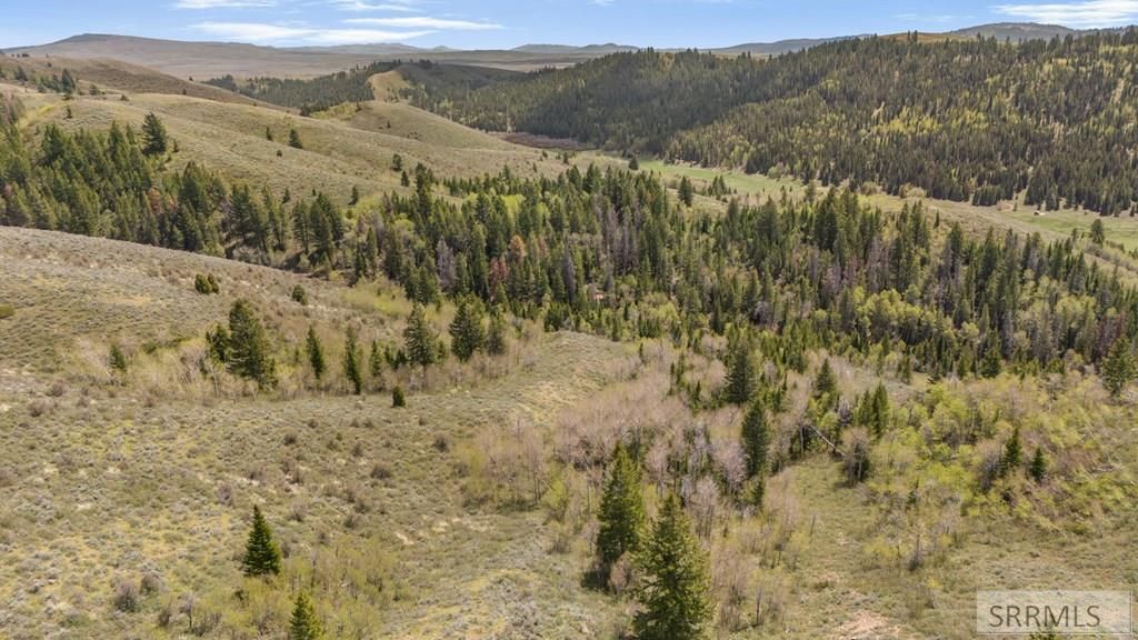 Image 17 of property listing at TBD Sellers Creek Road, Firth, ID 83236