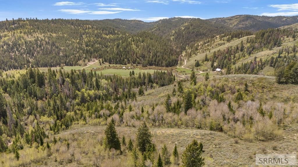 Image 19 of property listing at TBD Sellers Creek Road, Firth, ID 83236