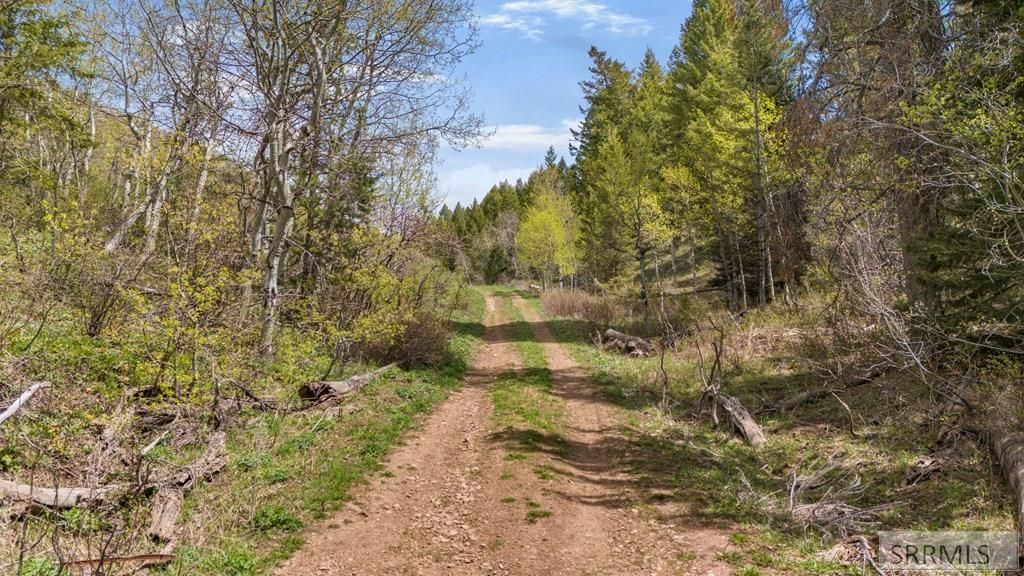 Image 4 of property listing at TBD Sellers Creek Road, Firth, ID 83236