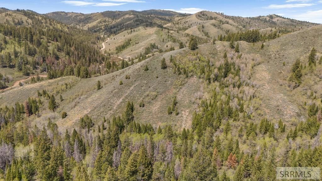 Image 7 of property listing at TBD Sellers Creek Road, Firth, ID 83236