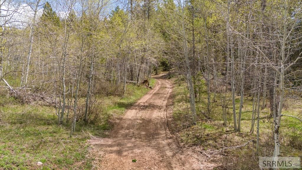 Image 8 of property listing at TBD Sellers Creek Road, Firth, ID 83236