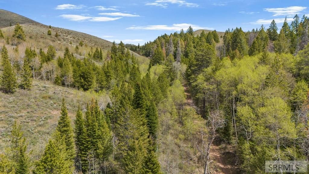 Image 9 of property listing at TBD Sellers Creek Road, Firth, ID 83236