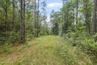 0 Yankee Town Road, Saucier, MS 39574