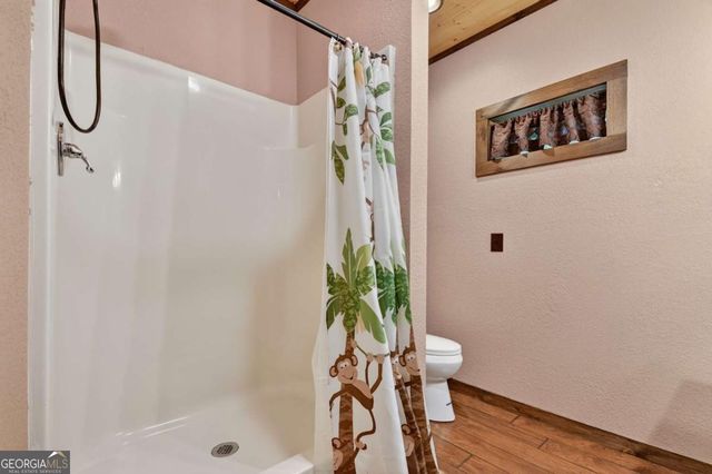 37 River Ridge, Blue Ridge, GA 30513