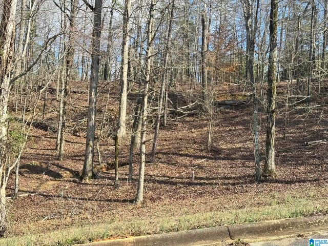 7577 COLONIAL TRACE CIRCLE, Bessemer, AL 35022