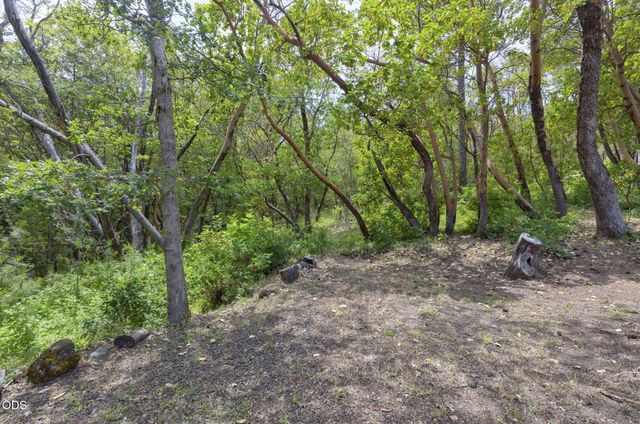 410 Schieffelin Gulch Road, Gold Hill, OR 97525