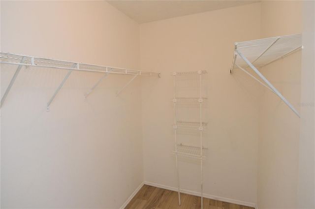 8645 FANCY FINCH DRIVE 202, Tampa, FL 33614