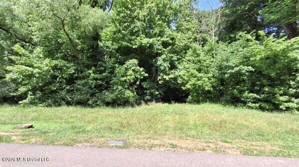 4419 W Dickens Place Drive, Southaven, MS 38671 — photo 3