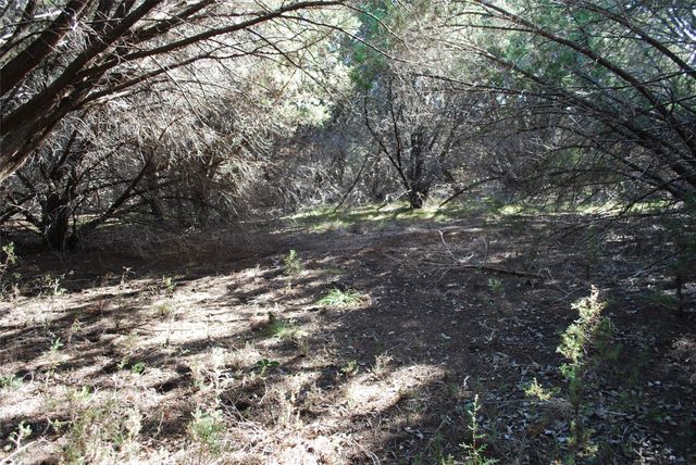 8182 Cedar Crest Drive, Whitney, TX 76692