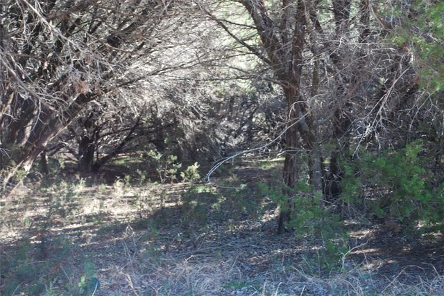 8182 Cedar Crest Drive, Whitney, TX 76692