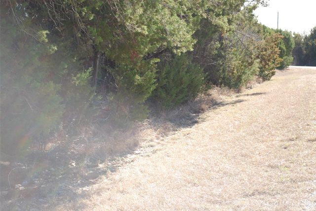 8182 Cedar Crest Drive, Whitney, TX 76692