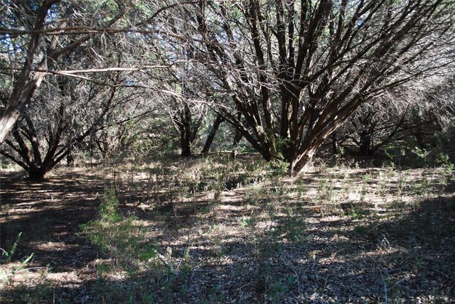 8182 Cedar Crest Drive, Whitney, TX 76692