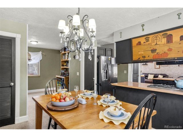 4076 Omer Ln, Divide, CO 80814